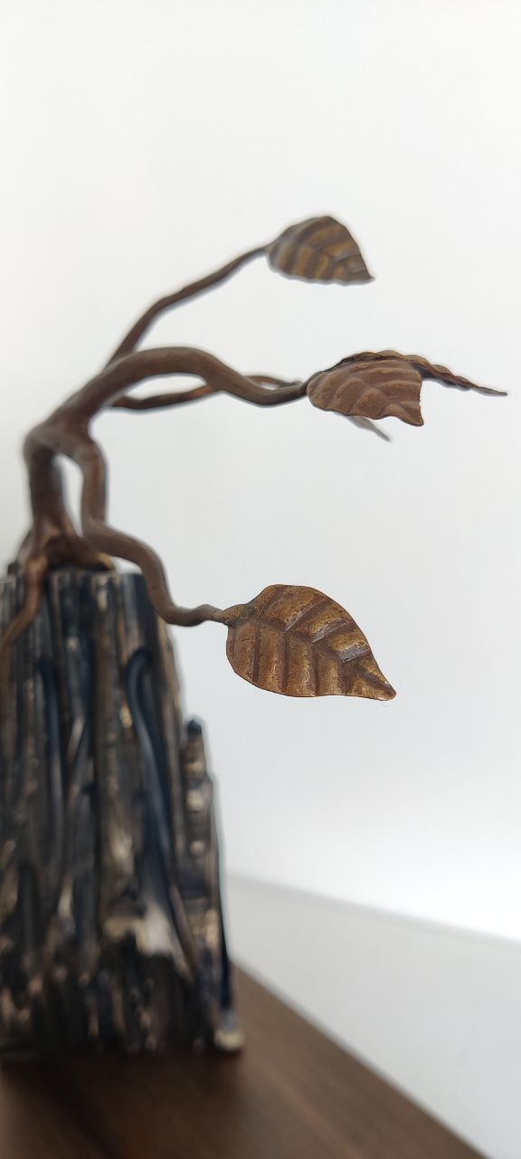 B7) RESILIENS ZEPHYRUS.jpg